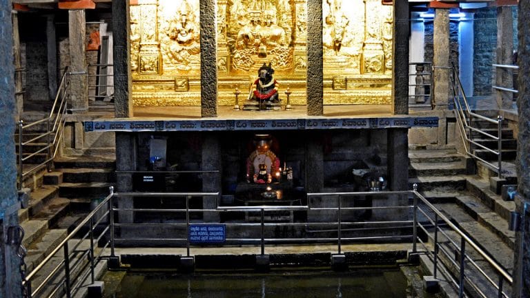 A fall through a sinkhole on prime Bengaluru property led to discovery of a hidden temple
