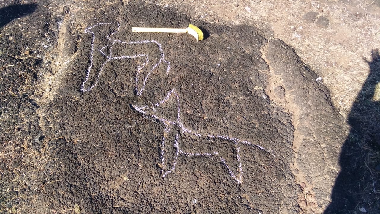 Animals depicted at the site | Murugeshi Taruvekere