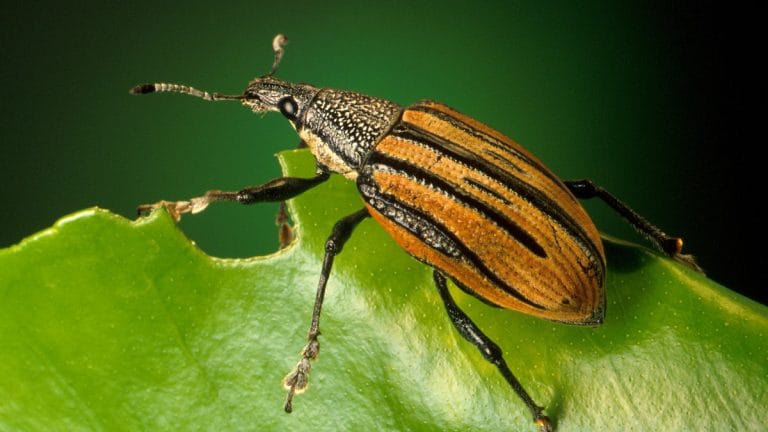 Humans are changing Earth in many different ways at once