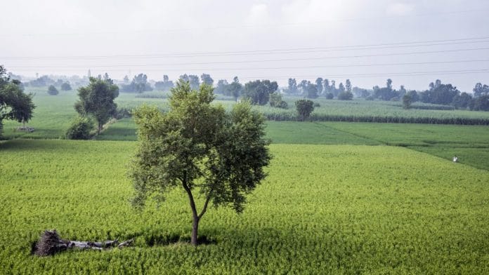 Representational image | Prashanth Vishwanathan/Bloomberg