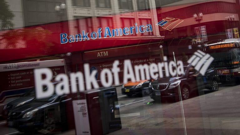 Bank of America buys its biggest distressed asset in India 
