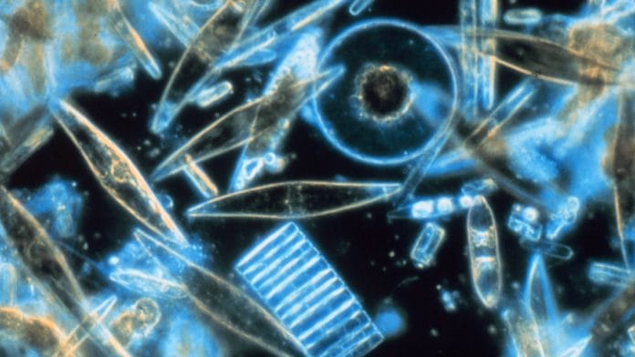 Representational image | Commons