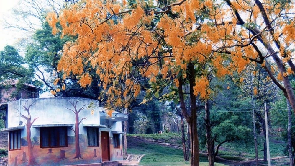 Coimbatore Coimbatore