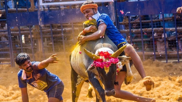 MY543 Tamil Nadu-Madurai
