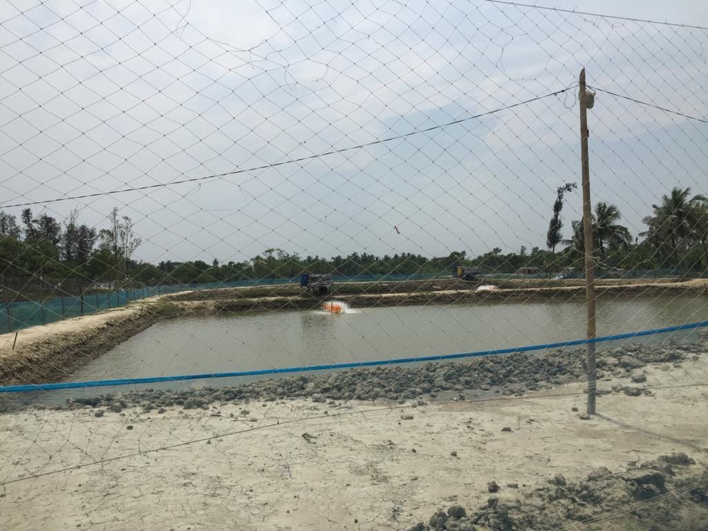 Farmers in Nandigram have given up farming and taken to fishery | Moushumi Das Gupta/ThePrint