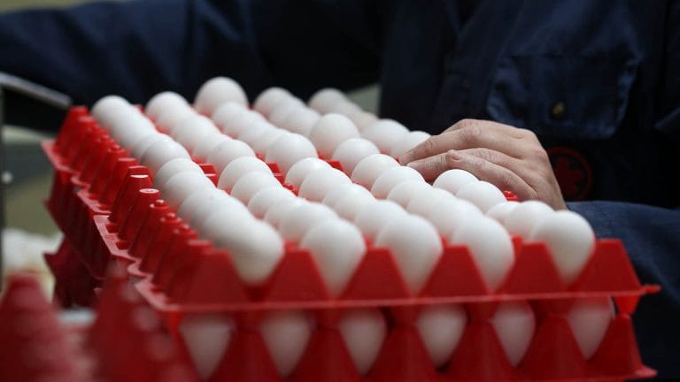 A multibillion-dollar race is on to replace the egg