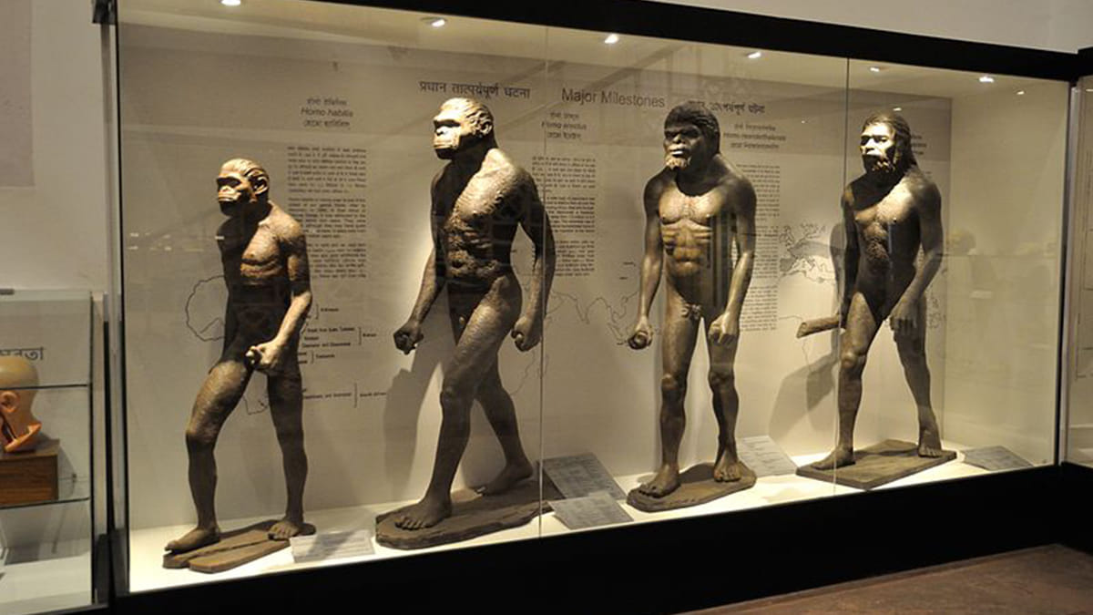 A growing list of scientists is questioning neo-Darwinism