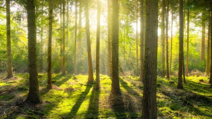 Representational image of environment