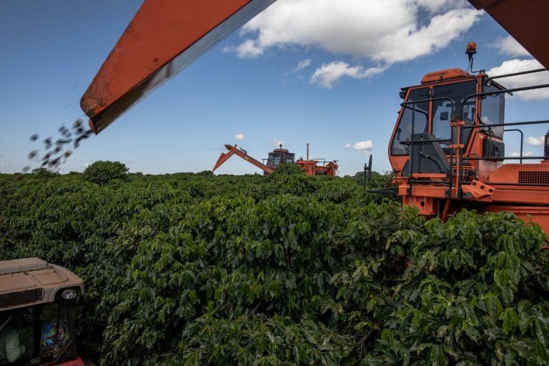 Nitrous oxide is good for plants but bad for the environment