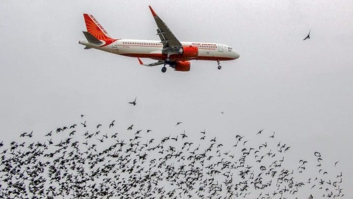 An Air India aircraft | PTI