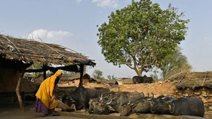 Kraska village, Rajasthan
