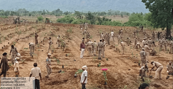 The mass plantation drive underway. | @ParveenKaswan | Twitter
