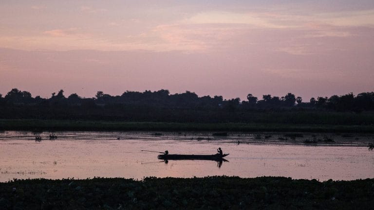 We went deep into remote Cambodian jungles to ensure rare Siamese crocodiles had enough food