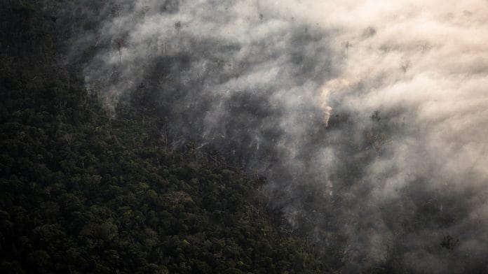 Amazon fires