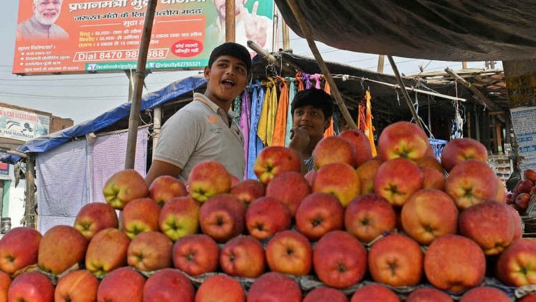 Why Modi-Trump trade war is making Himachal apple growers happy
