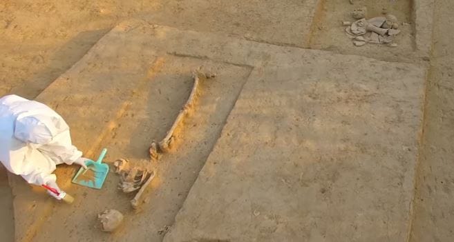 Rakhigarhi DNA study