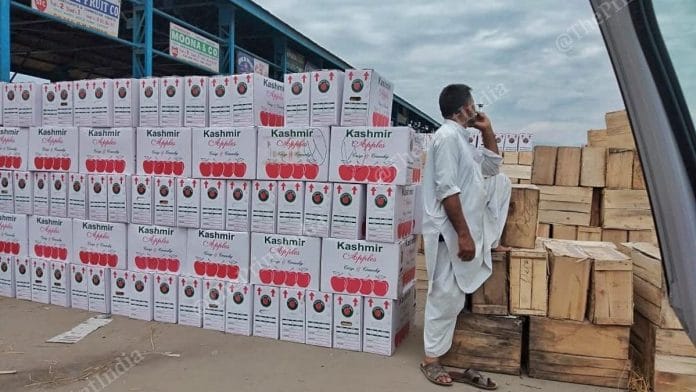 Apples sit, packed and rotting, waiting to be shipped.| Photo: Praveen Jain | ThePrint