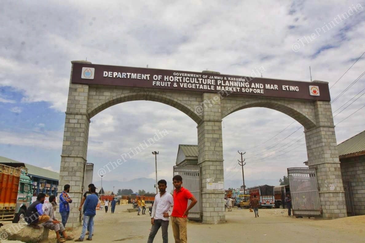 According to the Department of Horticulture Planning and Marketing, the apple market provides employment to seven lakh families. | Photo: Praveen Jain | ThePrint