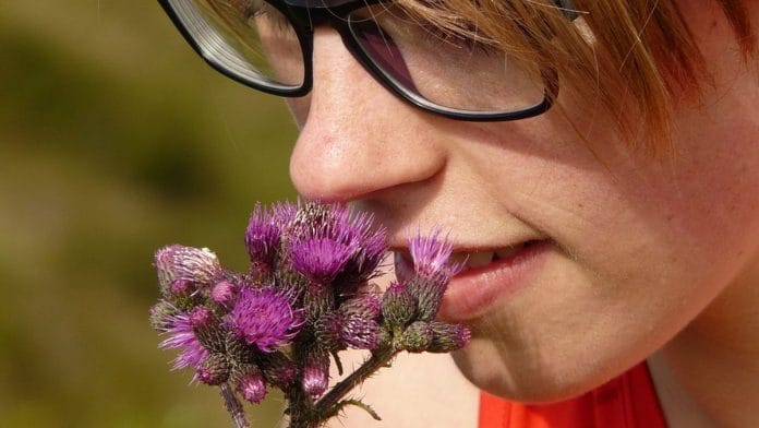 Human nose has about 6 million sensors and capability to detect nearly one trillion odours