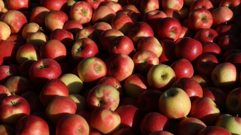Secret to keeping apples fresh – Indian chemical giant UPL loses tech fight to US start-up