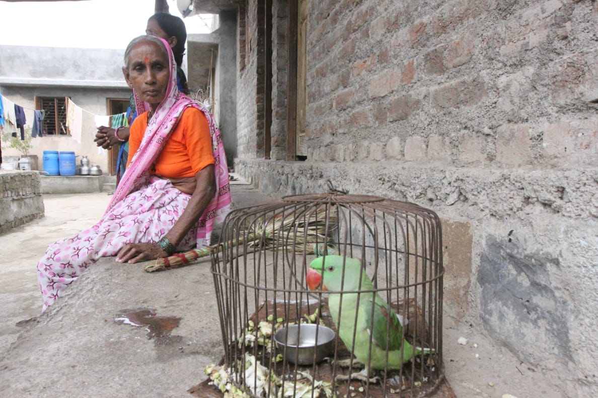 Second family in Bothboadam village with Anusuya Shilk, whose husband - Janglu Shilk committed suicide