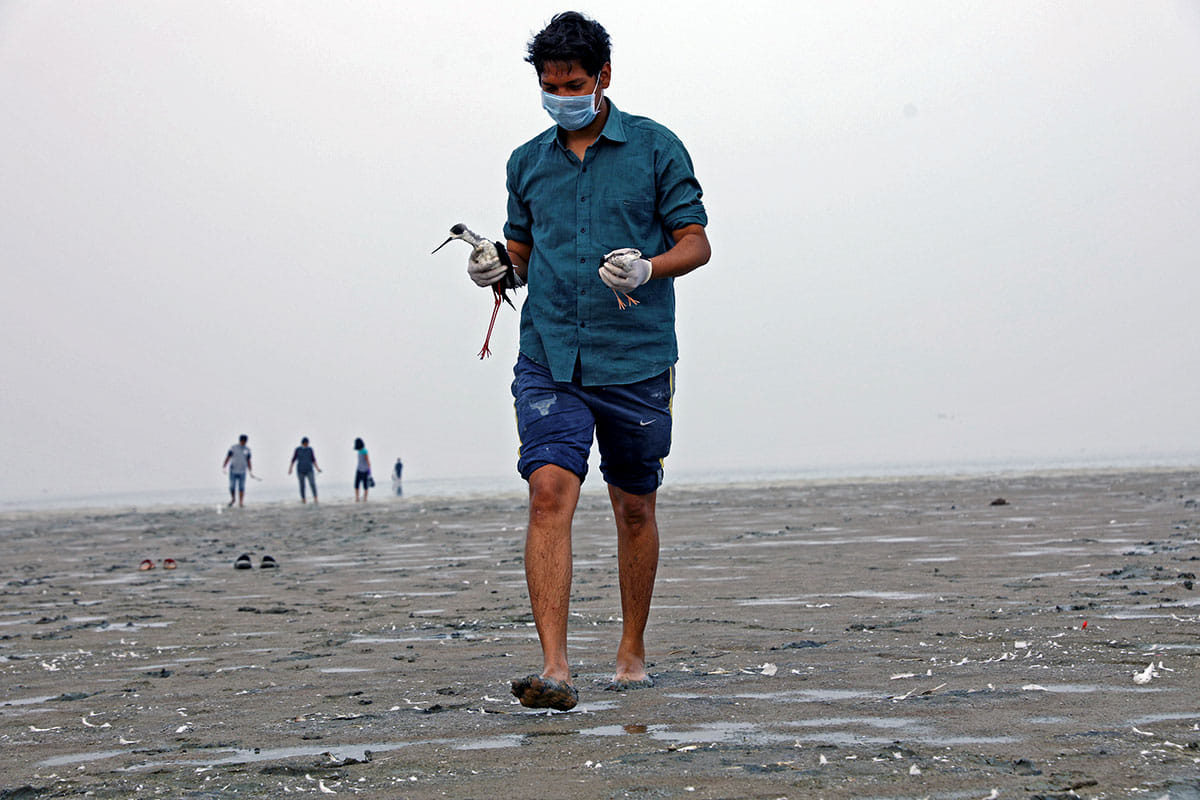 Volunteers from local NGOs are working at rescuing birds and cleaning up the lake. | Photo: Bahar Dutt