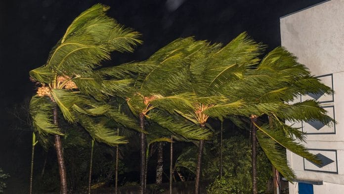 Trees sway as heavy wind induced by Cyclone Bulbul hits Bakkhali, in South 24 Parganas district. | PTI