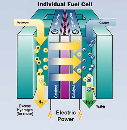 The internal mechanism of a hydrogen fuel cell
