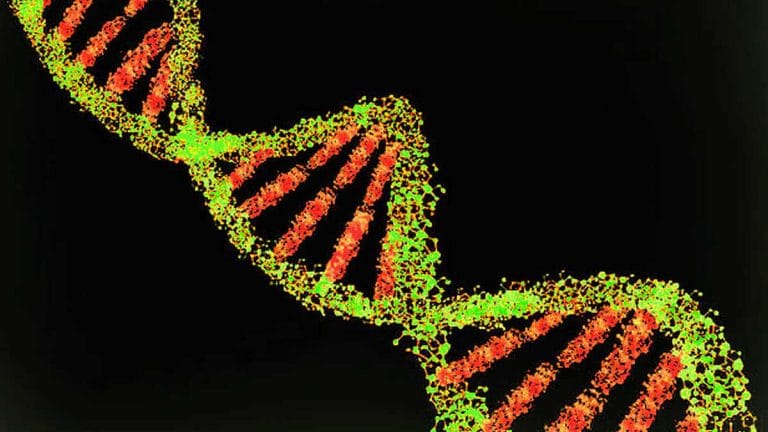 IndiGen project — how mapping of genomes could transform India’s healthcare