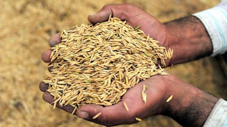 Nations sanctioning Russia must know concern over global hunger not unfounded, defuse panic