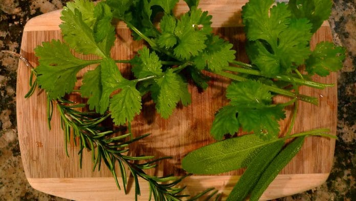 Siddha treats through a combination of herbs, minerals, metals and meditation | Flickr