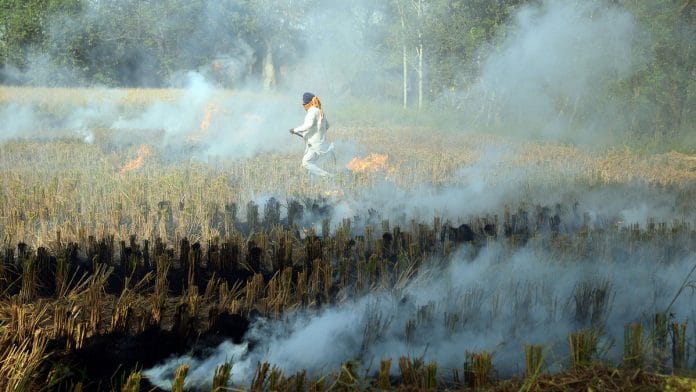 Stubble being burnt as part of 'Slash and Burn' agriculture practice after the harvesting of paddy crop in Jalandhar. | ANI