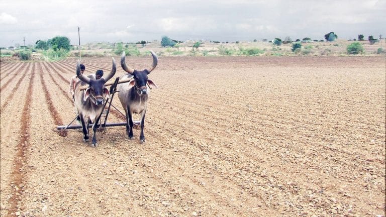 Gujarat’s Dalits & tribals are getting back land they have so far owned only on paper