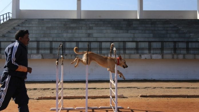 Uttarakhand Police have recruited an Indian pariah dog called Thenga