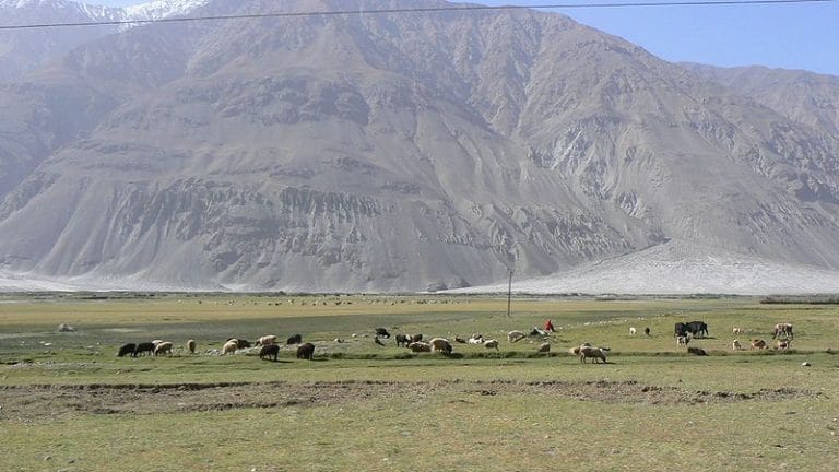 SubscriberWrites: Suppression of dissent in Pakistan-Occupied Kashmir (PoK)