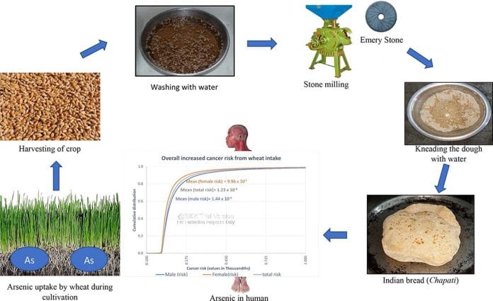 Photo: https://www.sciencedirect.com/