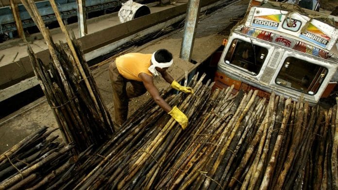 Bamboo trade