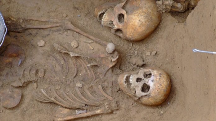 Archaeological excavations