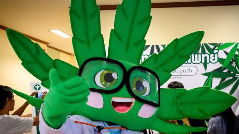 Thailand introduces cuddly Dr Ganja to promote medical marijuana