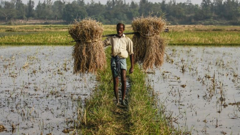 India’s agriculture departments are complex. But Odisha is using data to fix it