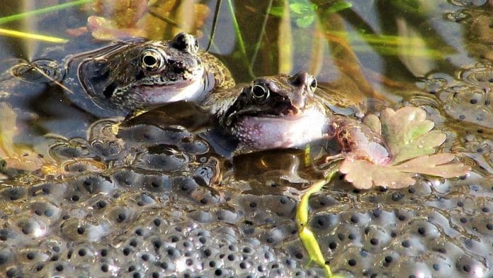 Representational Image | Pxfuel