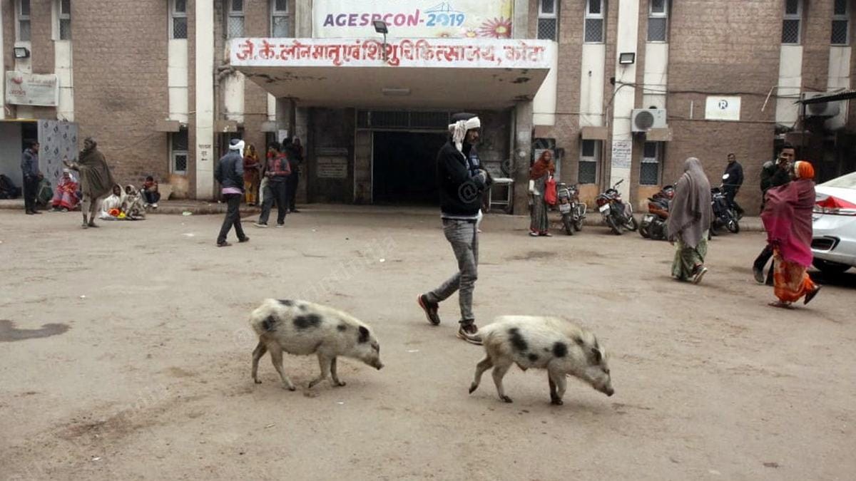 A view of the JK Lon Hospital in Rajasthan's Kota. | Photo: Praveen Jain/ThePrint 