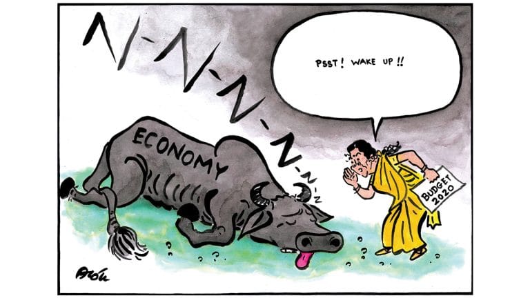 Budget for a dozing economy, Sitharaman’s tightrope & Economic Survey’s doublespeak