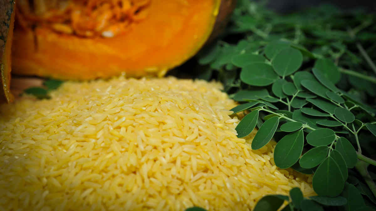 Now, Bangladesh set to steal march over India with GM rice that fights ...