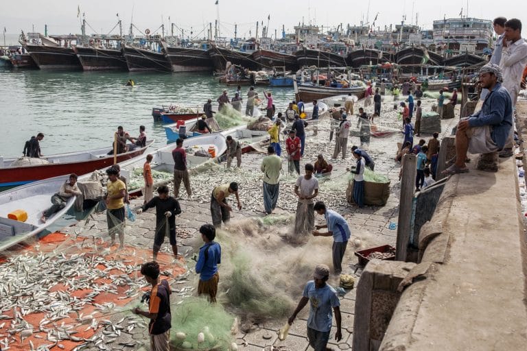 Farming food in water is growing in popularity — but can it save our oceans?