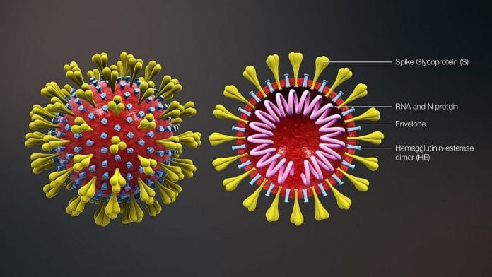 The three parts of the coronavirus | Photo: Commons
