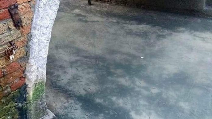 The clean waters of Venice | Twitter: @ikaveri