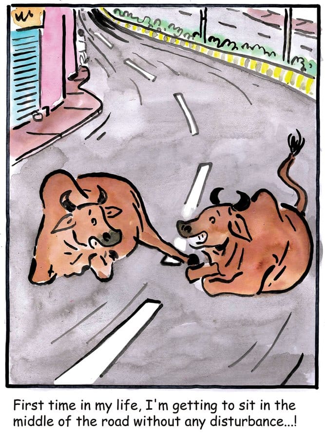 Alok Nirantar | Twitter