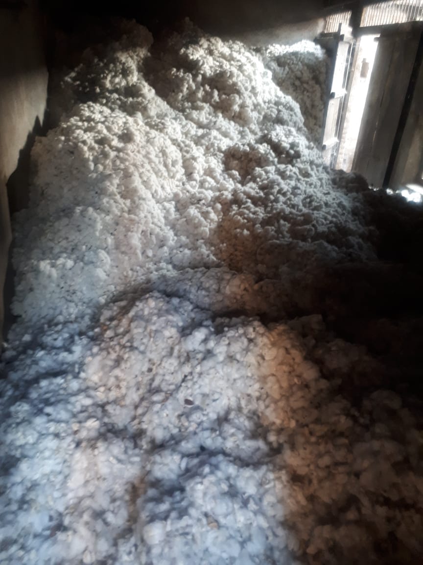 The destroyed cotton crop at Mahesh Satonkar's godown. | Photo: By special arrangement