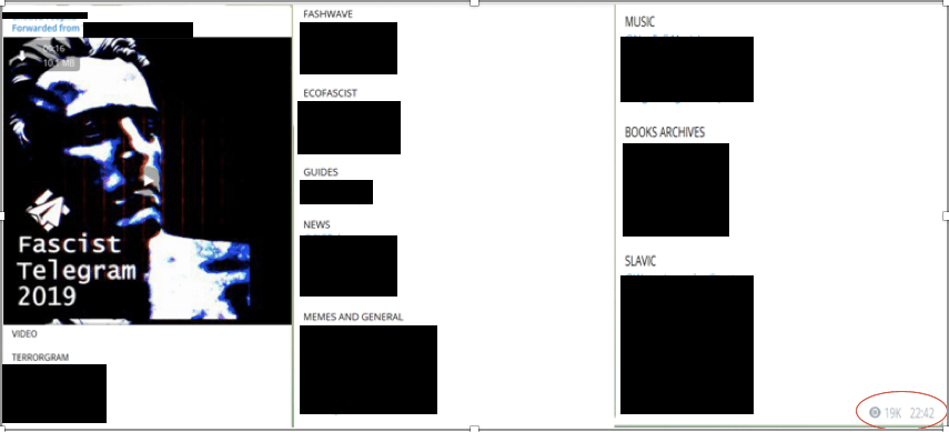 An example of cross-posted content between a terrorwave channel and another channel for memes. The post provides a guide to the veritable cornucopia of extremist channels catering to the far-right user base on Telegram. The post had accumulated over 19,000 views at the time of analysis. (Source: Telegram)